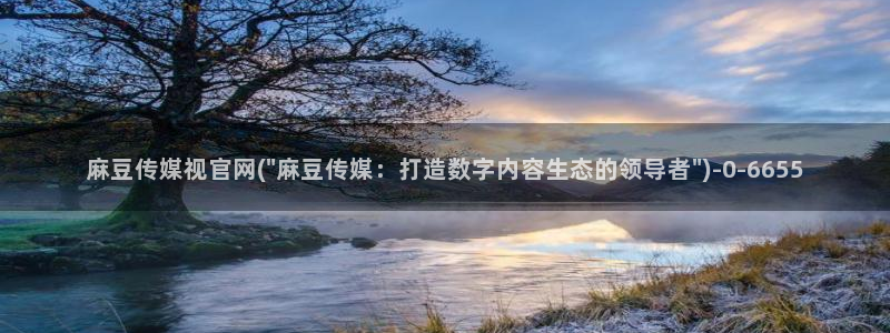 麻豆 完整版下载：麻豆传媒视官网(\