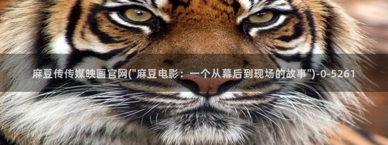 麻豆 入口专区：麻豆传传媒映画官网(\