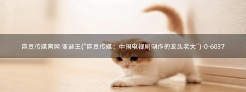 麻豆视频精选下载：麻豆传媒官网 亚瑟王(\