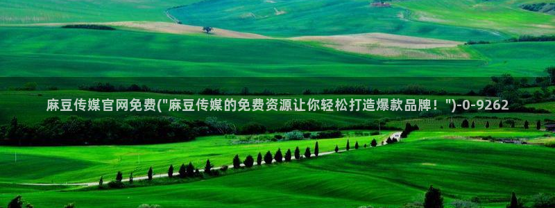 麻豆视频高清视频：麻豆传媒官网免费(\