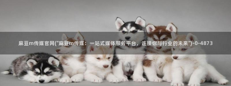 麻豆视频资源推荐：麻豆m传媒官网(\