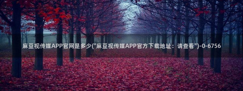 麻豆视频 精选专区：麻豆视传媒APP官网是多少(\