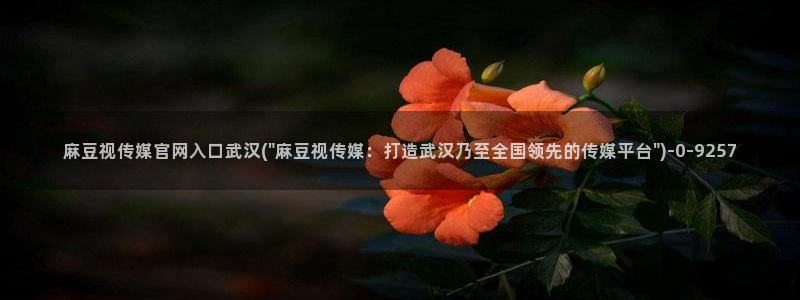 麻豆 更新完整版：麻豆视传媒官网入口武汉(\