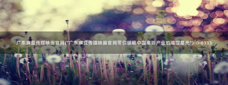 麻豆视频站合集：广东麻豆传媒映画官网(\
