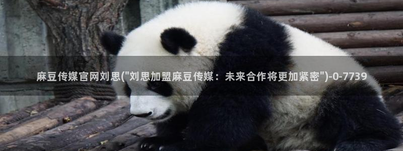 麻豆 资源更新：麻豆传媒官网刘思(\