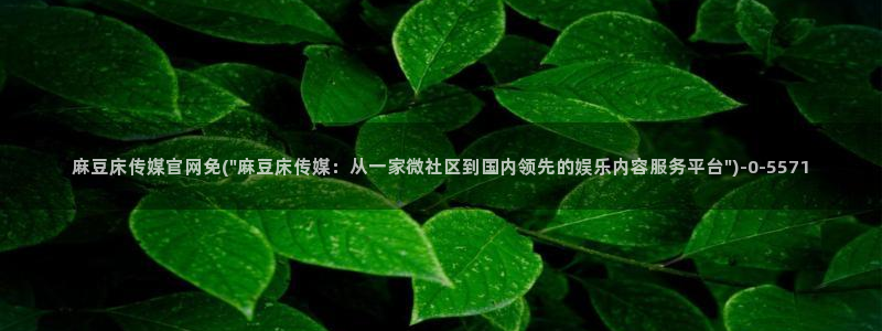 麻豆视频官方资源：麻豆床传媒官网免(\