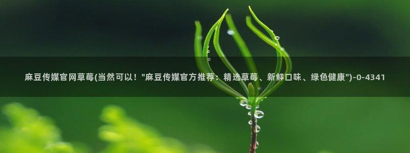 麻豆 最新视频：麻豆传媒官网草莓(当然可以！\