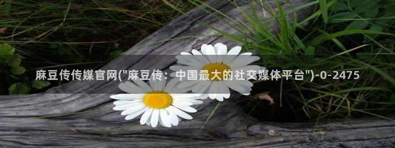麻豆 高清下载：麻豆传传媒官网(\