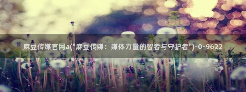 麻豆视频 精选：麻豆传媒官网a(\