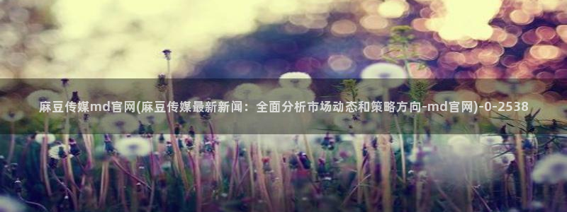 麻豆视频图集导航：麻豆传媒md官网(麻豆传媒最新新闻：全面分析市场动态和策略方向-md官网)