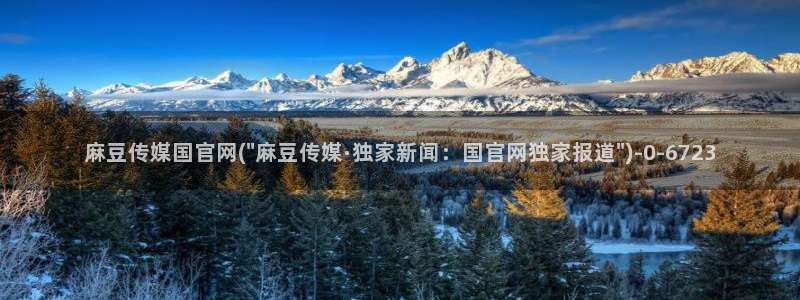 麻豆视频 内容高清：麻豆传媒国官网(\