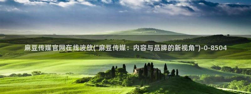 麻豆视频 资源推荐：麻豆传媒官网在线波放(\