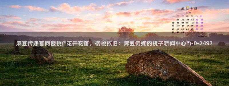 麻豆视频精选入口：麻豆传媒官网樱桃(\