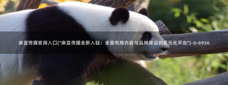 麻豆视频 内容专区：麻豆传媒官网入囗(\