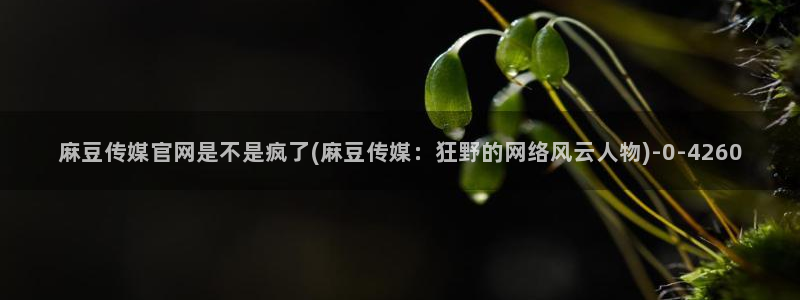 麻豆视频 图集视频：麻豆传媒官网是不是疯了(麻豆传媒：狂野的网络风云人物)