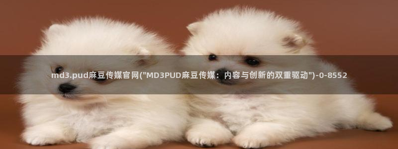 麻豆视频 最新入口：md3.pud麻豆传媒官网(\