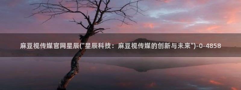 麻豆视频资源：麻豆视传媒官网星辰(\