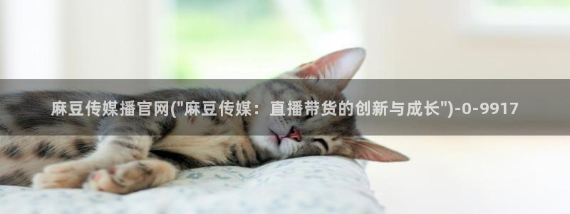 麻豆原创视频：麻豆传媒播官网(\